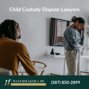 child custody dispute